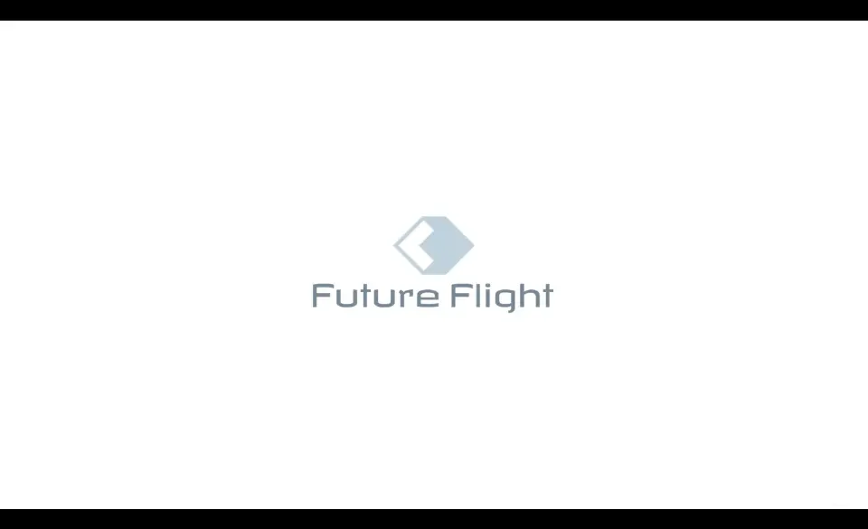Future Flight Group CM