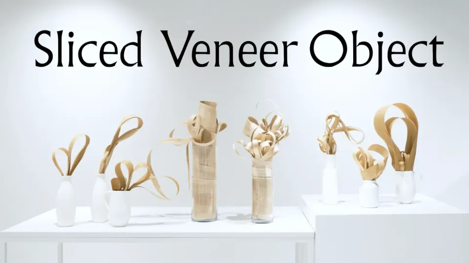 Sliced Veneer Object -突板オブジェ- Art Direction by Hayato Sakai